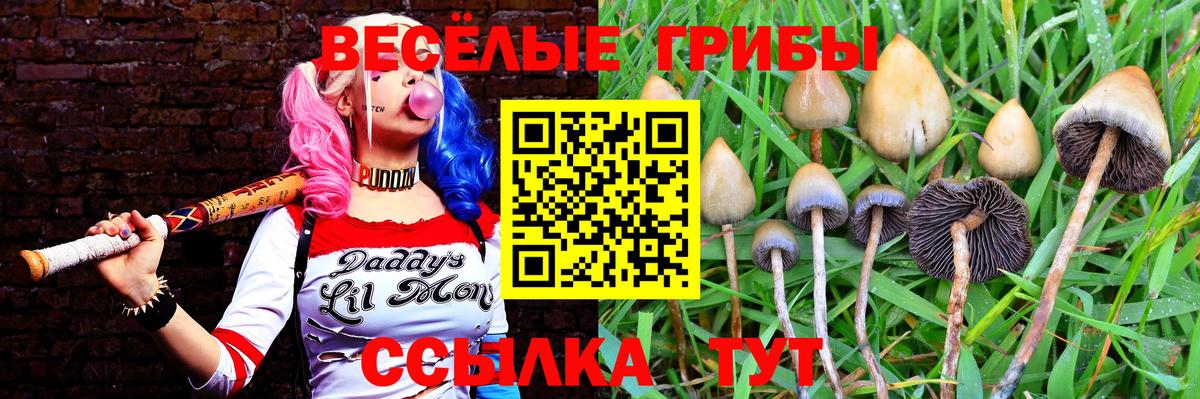 Псилоцибиновые грибы MAGIC MUSHROOMS Обь