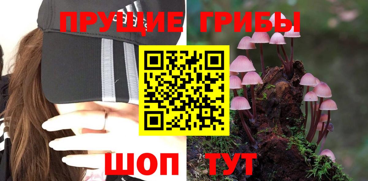 Обь  Галлюциногенные грибы мухоморы  купить наркотики сайты  Вход с VPN 